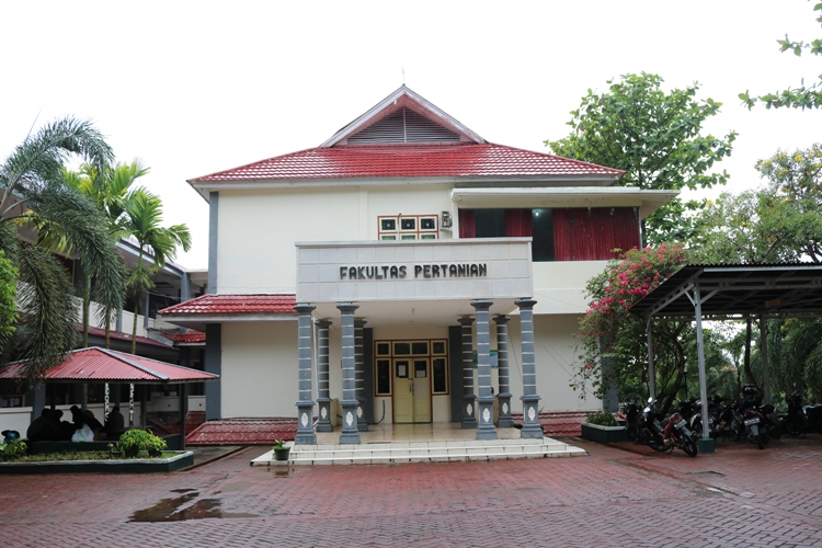 Mahasiswa Unkhair Bikin Bahan Pakan Ayam Broiler Dari Pala Dan Cengkih