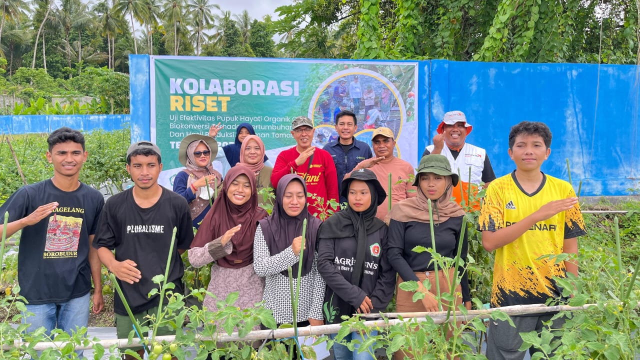 Kolaborasi Riset Unkhair, WVI, dan PT. Bio Konversi Indonesia, Panen Perdana Tanaman Tomat Ramah Lingkungan